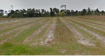 Saint-Savin Terrain à bâtir - 2483308-11516annonce120260413c6mXK.jpeg Maisons France Confort