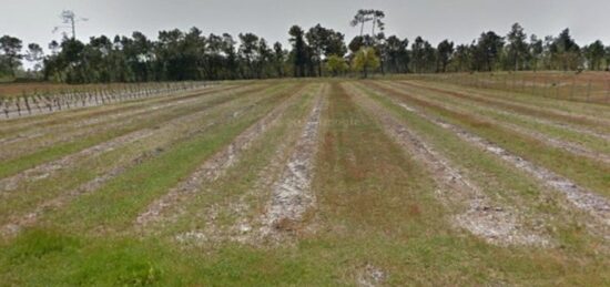 Terrain à bâtir à Saint-Savin, Nouvelle-Aquitaine