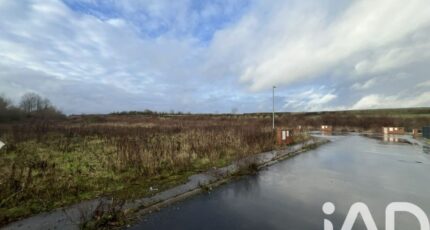 Neuvilly Terrain à bâtir - 2484127-10261annonce320260413a4RBo.jpeg Maisons France Confort