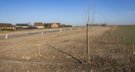 Aubigny-au-Bac Terrain à bâtir - 2483694-6130annonce220260413Jw52r.jpeg Maisons France Confort