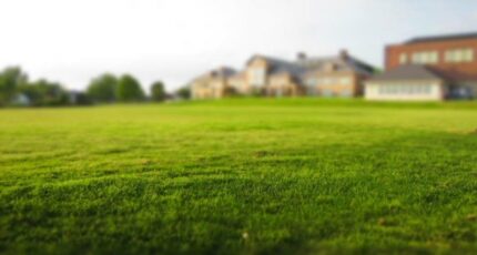 Champagne-sur-Oise Maison neuve - 2484321-11836annonce420260413TGpfN.jpeg Maisons France Confort