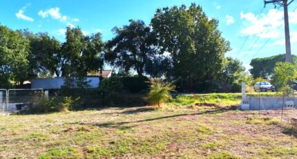 Le Cannet-des-Maures Maison neuve - 2484091-10025annonce320260413EdedN.jpeg Maisons France Confort