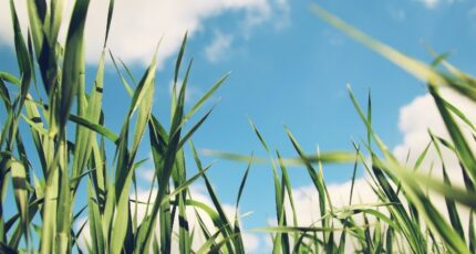 Saint-Estèphe Maison neuve - 2484491-11274annonce120260402ABtwx.jpeg Maisons France Confort