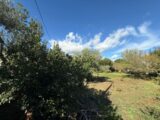 Maison à construire à La Crau (83260) 2393451-11136annonce120260115veD9T.jpeg Maisons France Confort