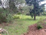 Terrain à bâtir à La Garde (83130) 2484756-10122annonce220260414cbcUn.jpeg Maisons France Confort
