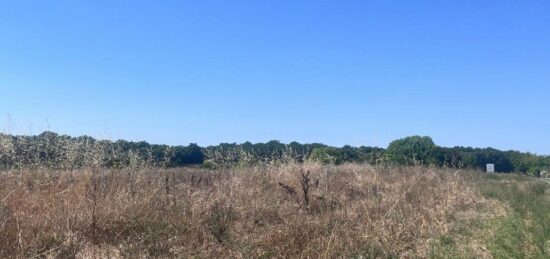 Terrain à bâtir à , Charente-Maritime