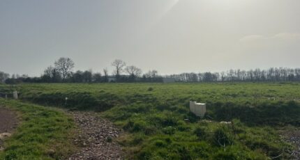 Isigny-sur-Mer Terrain à bâtir - 2484894-11660annonce120260414CqQHU.jpeg Maisons France Confort