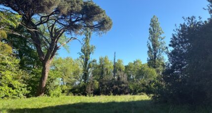 Le Pout Maison neuve - 2484900-11071annonce220260414sWl4E.jpeg Maisons France Confort