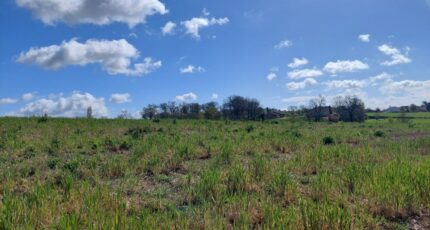 Verfeil Maison neuve - 2483986-5604annonce1202604131Z5NL.jpeg Maisons France Confort