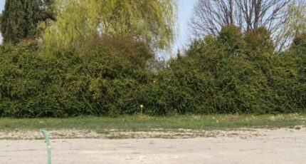 Oraison Maison neuve - 2395578-9917annonce120260116VTQdX.jpeg Maisons France Confort