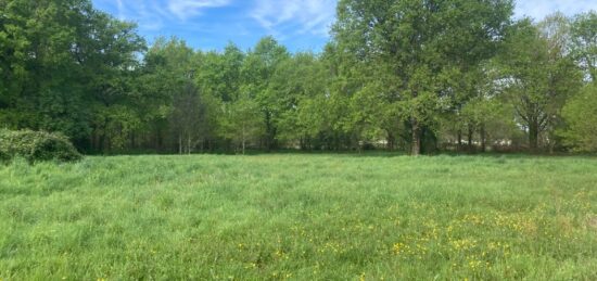 Terrain à bâtir à Vensac, Nouvelle-Aquitaine