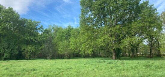 Terrain à bâtir à , Gironde