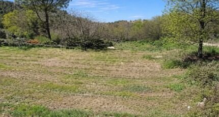 Saint-Maximin-la-Sainte-Baume Maison neuve - 2485326-11039annonce120260414odxHc.jpeg Maisons France Confort