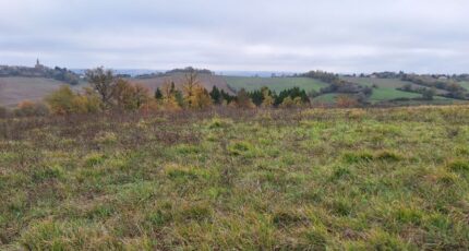 Le Castéra Terrain à bâtir - 2481091-9555annonce120260410XVxwo.jpeg Maisons France Confort