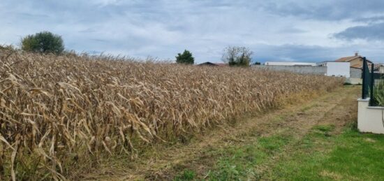 Terrain à bâtir à Saint-Jean-de-Thurigneux, Auvergne-Rhône-Alpes