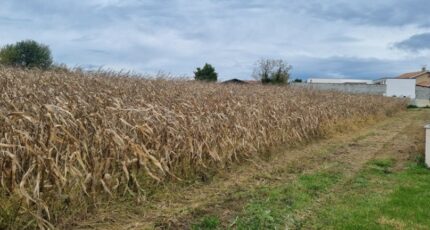 Saint-Jean-de-Thurigneux Maison neuve - 2454874-10453annonce120260312H92lP.jpeg Maisons France Confort