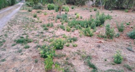 Fuveau Maison neuve - 2485710-11041annonce3202604154n9RV.jpeg Maisons France Confort