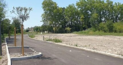 Sorgues Terrain à bâtir - 2486270-617annonce320250114oQwVO.jpeg Maisons France Confort