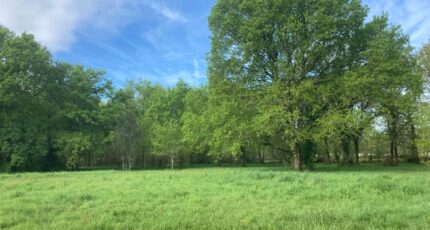 Vensac Maison neuve - 2486354-10624annonce220260414TKml6.jpeg Maisons France Confort