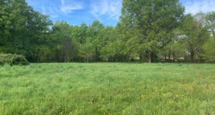 Vensac Maison neuve - 2486379-10624annonce120260414BqNpg.jpeg Maisons France Confort