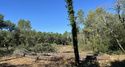 Suze-la-Rousse Maison neuve - 2486548-617annonce1202604159oqxE.jpeg Maisons France Confort