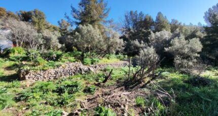 Toulon Maison neuve - 2485015-10025annonce220260414mB0ZN.jpeg Maisons France Confort