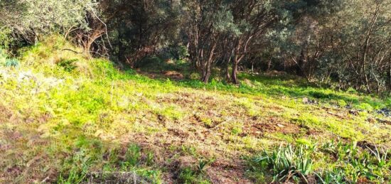 Terrain à bâtir à , Var