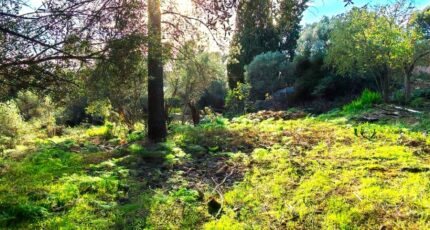 Toulon Maison neuve - 2486384-10025annonce120260415qXU92.jpeg Maisons France Confort