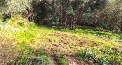 Toulon Maison neuve - 2486384-10025annonce220260415TmL28.jpeg Maisons France Confort