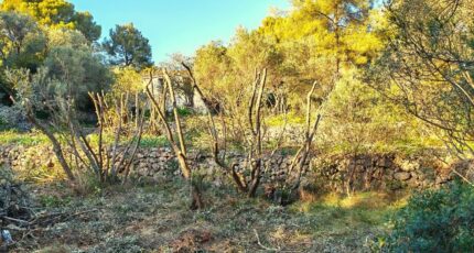 Toulon Maison neuve - 2486384-10025annonce320260415Tzt35.jpeg Maisons France Confort