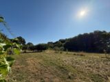 Maison à construire à Aizenay (85190) 2486400-11796annonce120260415M4st4.jpeg Maisons France Confort