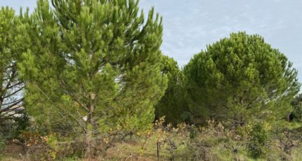 Saint-Victor-la-Coste Maison neuve - 2486575-617annonce320260415fUEH4.jpeg Maisons France Confort