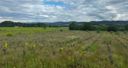 Sabran Maison neuve - 2486567-617annonce120260415V0AFe.jpeg Maisons France Confort