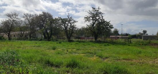 Terrain à bâtir à Dieupentale, Occitanie