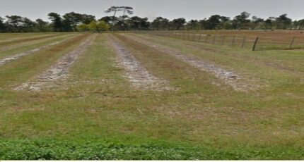 Saint-Savin Maison neuve - 2483313-11516annonce120260413rsZlo.jpeg Maisons France Confort