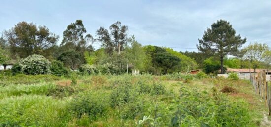 Terrain à bâtir à , Landes