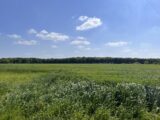 Terrain à bâtir à Les Ventes (27180) 2413055-11732annonce120260130zGWZC.jpeg Maisons France Confort