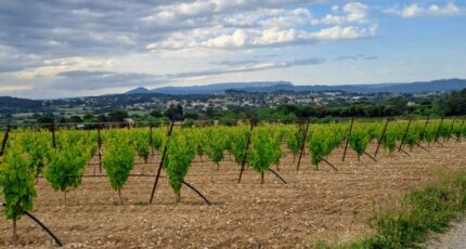 Rians Terrain à bâtir - 2486917-11238annonce320260416TnpoJ.jpeg Maisons France Confort