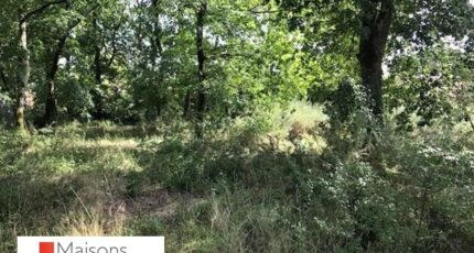 Salles Terrain à bâtir - 2486971-3127annonce120260416ufmyc.jpeg Maisons France Confort