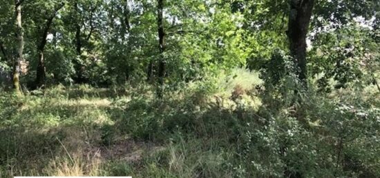 Terrain à bâtir à Salles, Nouvelle-Aquitaine