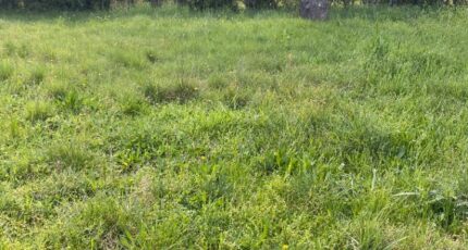 Lauris Terrain à bâtir - 2487085-7050annonce220260416IX5ks.jpeg Maisons France Confort