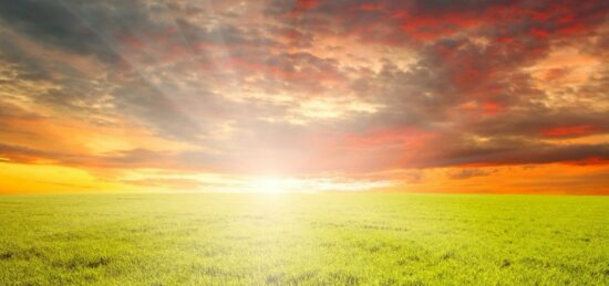 Terrain à bâtir à Arvert, Nouvelle-Aquitaine