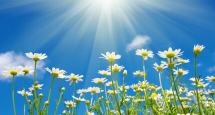 Breuillet Maison neuve - 2462397-11644annonce1202603191xxu0.jpeg Maisons France Confort