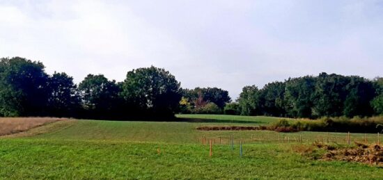 Terrain à bâtir à , Haute-Garonne