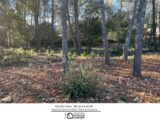 Terrain à bâtir à Trans-en-Provence (83720) 2394097-3951annonce120260115nsris.jpeg Maisons France Confort