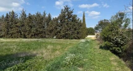 Avignon Maison neuve - 2487506-3418annonce220260416cTqD3.jpeg Maisons France Confort