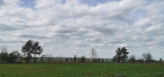 Terrain à bâtir à Landiras, Nouvelle-Aquitaine