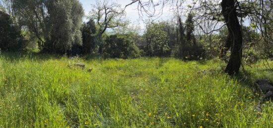 Maison neuve à , Alpes-Maritimes