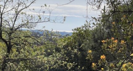 La Gaude Maison neuve - 2487769-10316annonce4202604154Mlho.jpeg Maisons France Confort