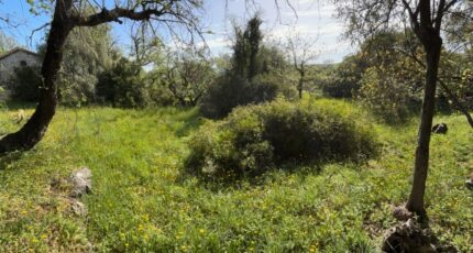 La Gaude Maison neuve - 2487769-10316annonce520260415d4fNH.jpeg Maisons France Confort